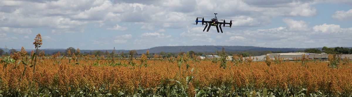 Agri business using IoT will jolt the NZ economy