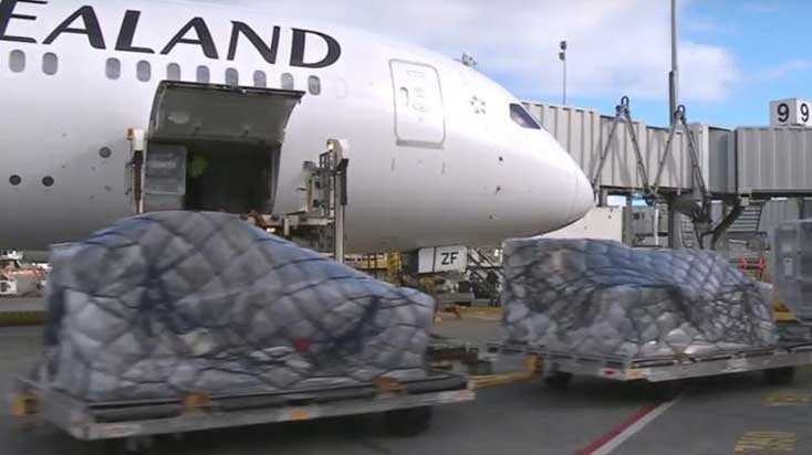 NZ Tech disrupts air cargo industry